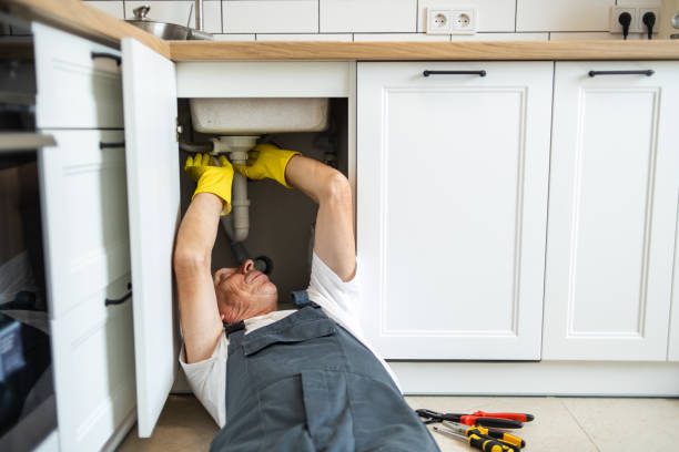 Best Commercial Plumbing Services  in Glenwood, IL