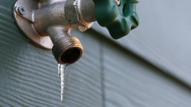 Best Water Heater Repair  in Glenwood, IL